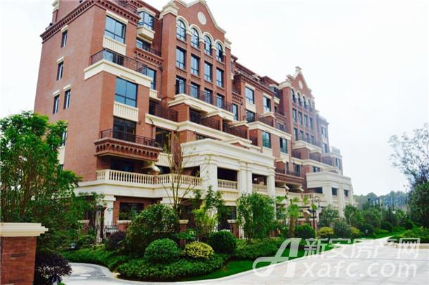 918������(�й���)�ٷ���վ