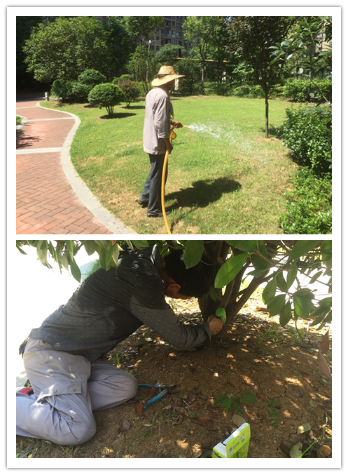 918������(�й���)�ٷ���վ