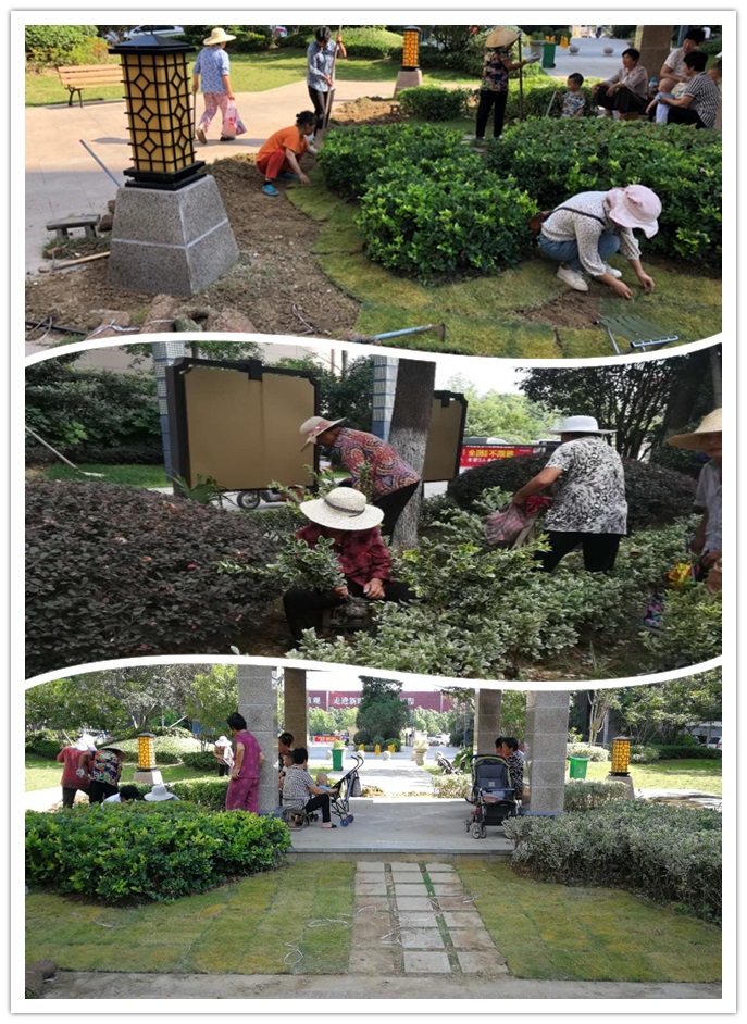 918������(�й���)�ٷ���վ