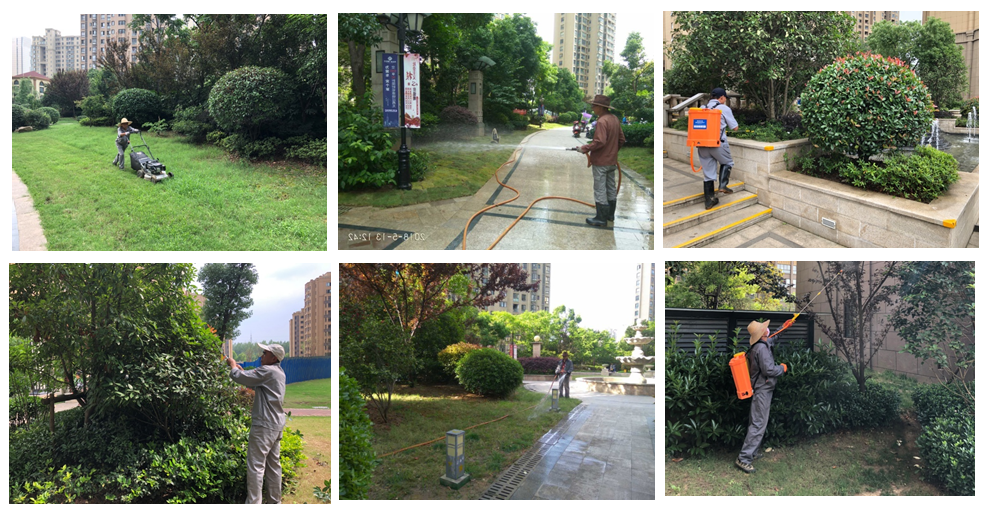 918������(�й���)�ٷ���վ