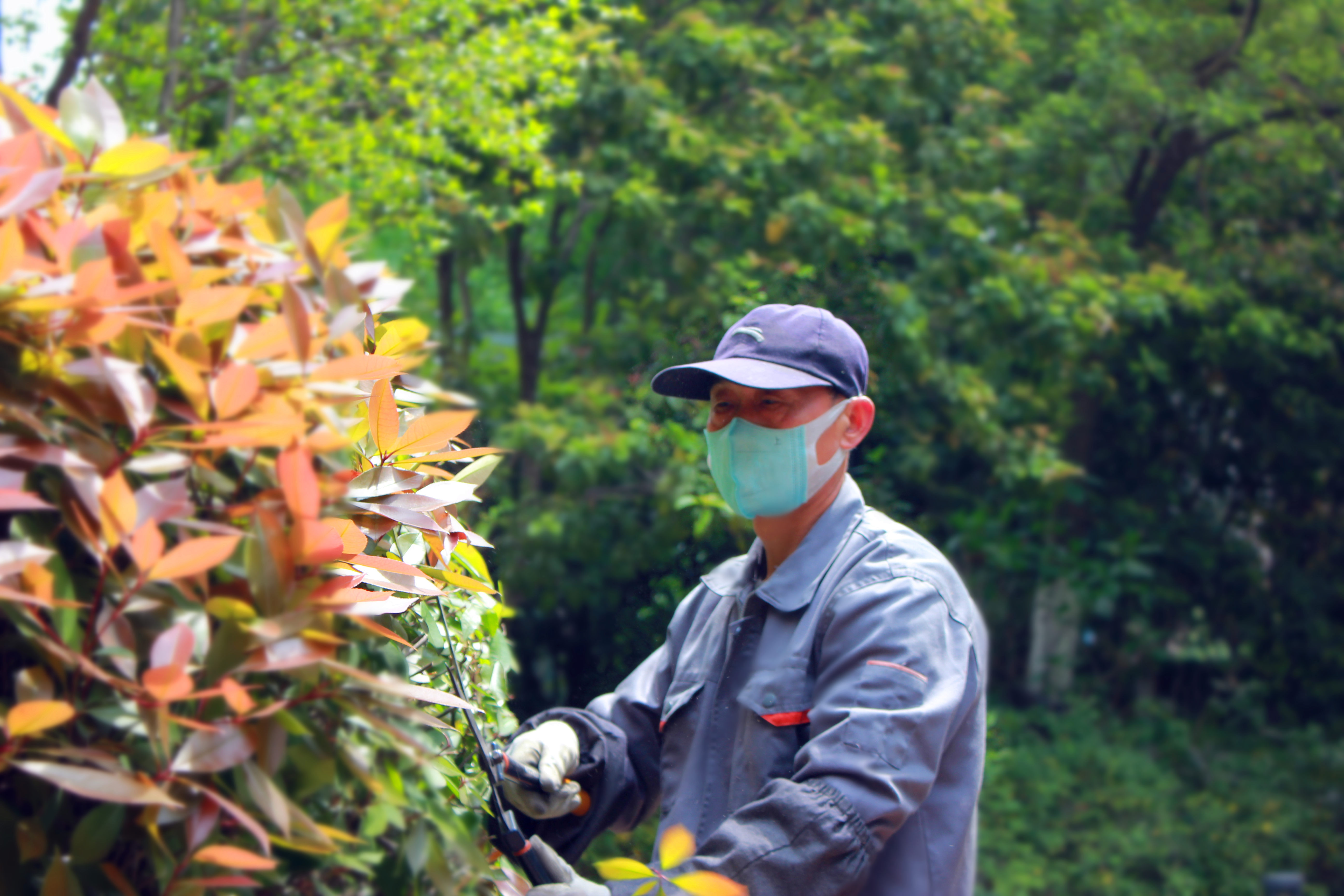 918������(�й���)�ٷ���վ