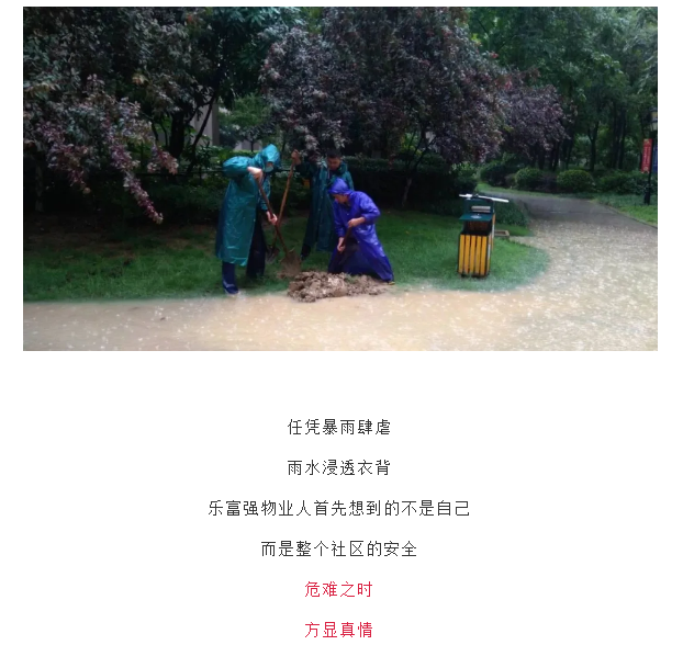 918������(�й���)�ٷ���վ