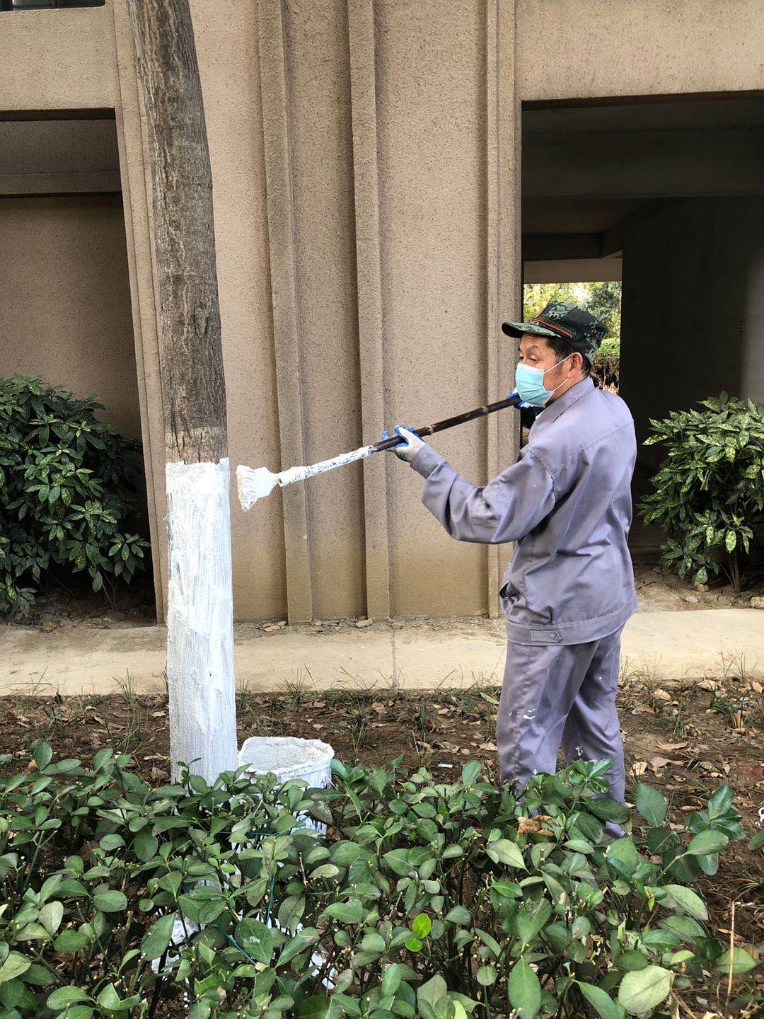 918������(�й���)�ٷ���վ