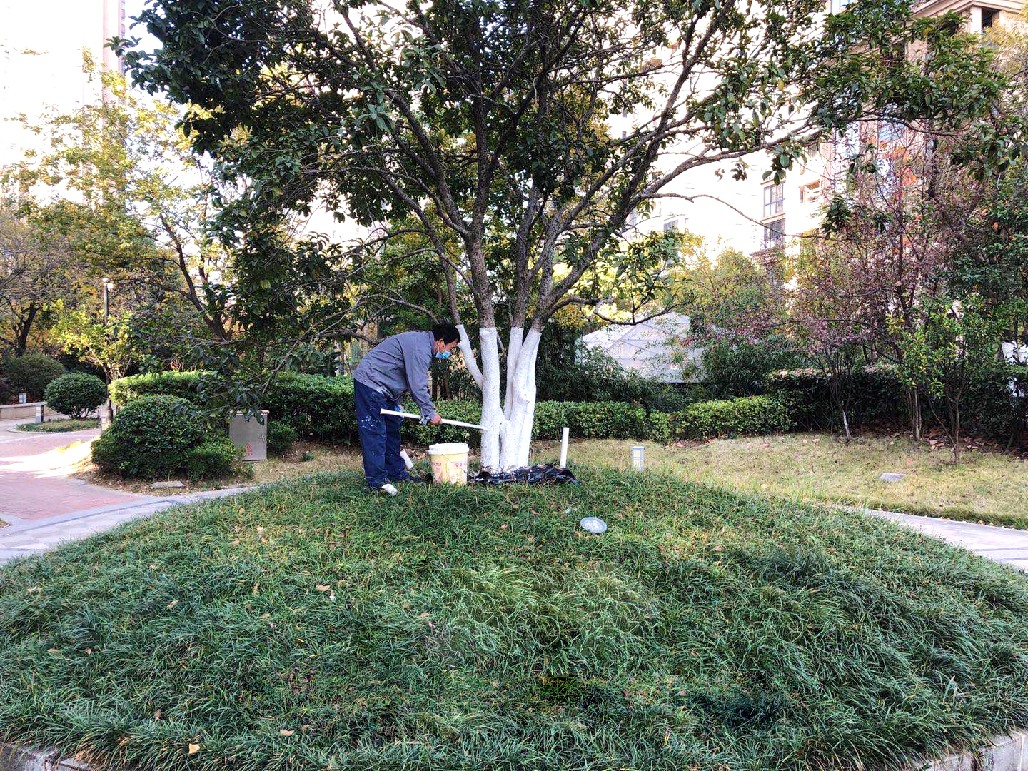 918������(�й���)�ٷ���վ