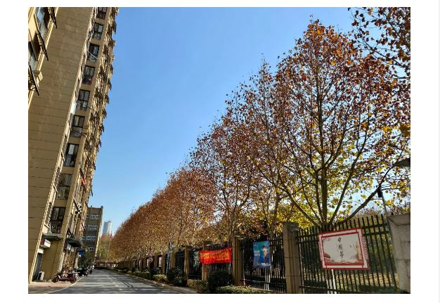 918������(�й���)�ٷ���վ