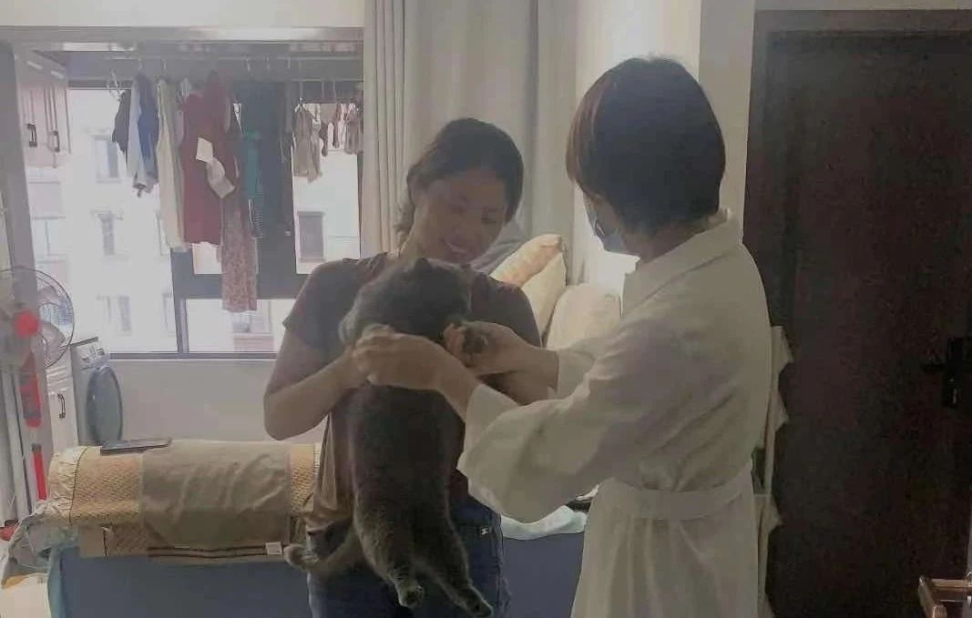 918������(�й���)�ٷ���վ