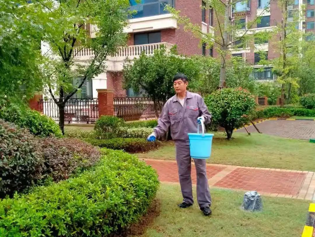 918������(�й���)�ٷ���վ