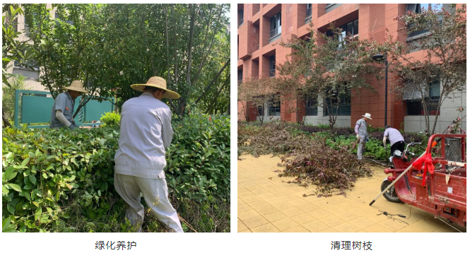 918������(�й���)�ٷ���վ