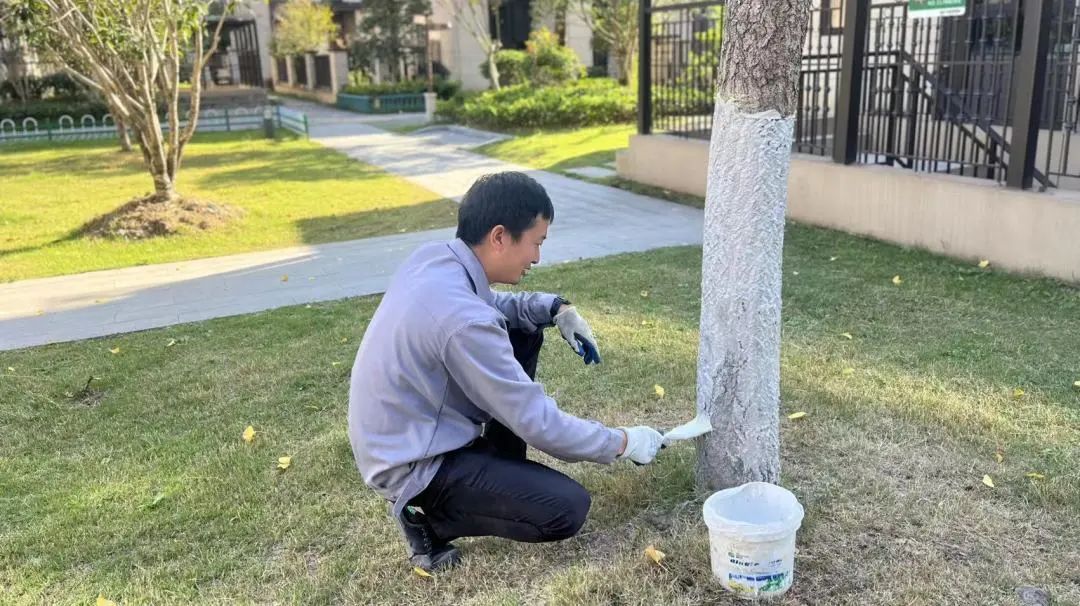 918������(�й���)�ٷ���վ