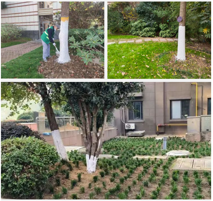 918������(�й���)�ٷ���վ