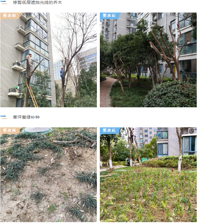 918������(�й���)�ٷ���վ